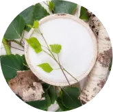Botanical source imagery representing xylitol